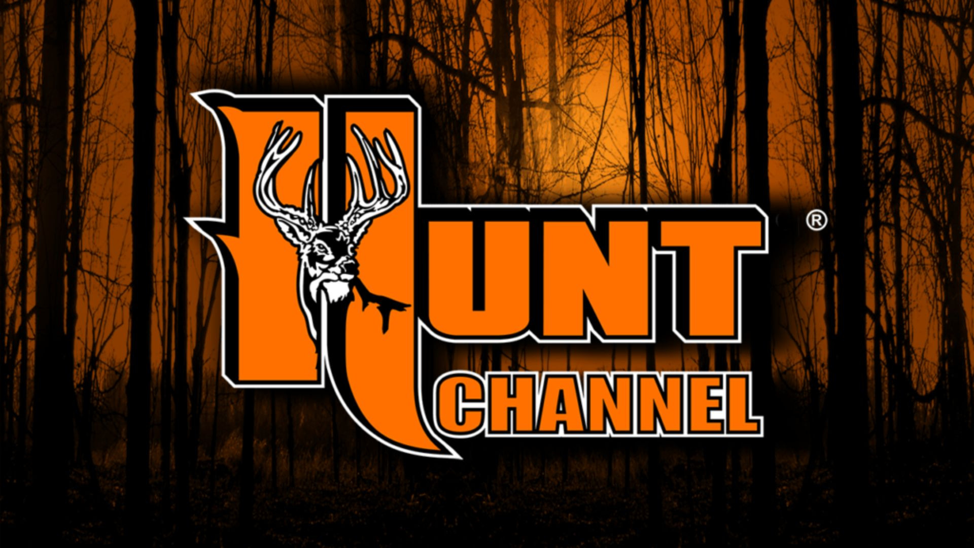 Hunt TV