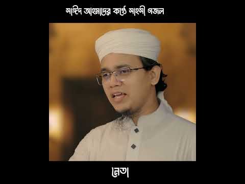⁣বড় গলায় কয় কথা "নেতা "  Sayed ahmad #sayedahmadkalarab #kalarab #sayedahmadkalarab2025