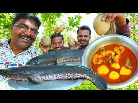⁣ধামসা আলু দিয়ে গ্রাম্য পদ্ধতিতে শোল মাছের লাল ঝোল | Shol mach recipe bengali village style |