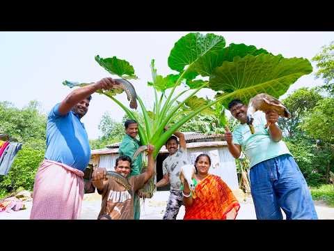 ⁣গ্রামের এক বৌদির হাতে মানকচু দিয়ে শোল মাছ সঙ্গে হাঁসের মাংস রান্না খাওয়া | village cooking vlog