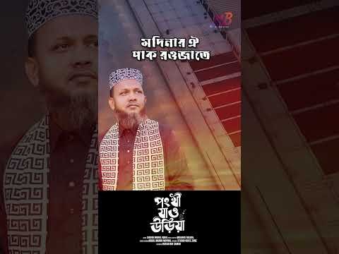 ⁣Pankhi Jao Uriya | Mujahid Bulbul #shorts #ytshorts #youtubeshorts