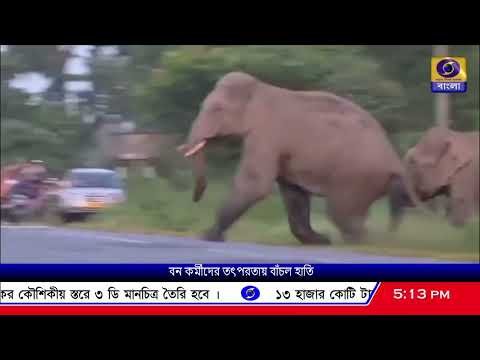 ⁣বনকর্মীদের তৎপরতায় প্রাণ রক্ষা ৭০টিরও বেশি হাতির