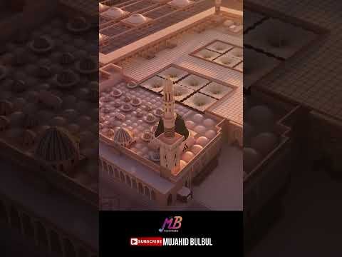 ⁣Mere Aqa Mere Mawla | #shorts #ytshorts #youtubeshorts