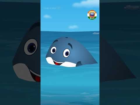 ⁣నీలి తిమింగలం తరగతి పాట (Blue Whale Song) #Shorts #ChuChuTVTelugu #TeluguRhymes #ChuChuTV100M