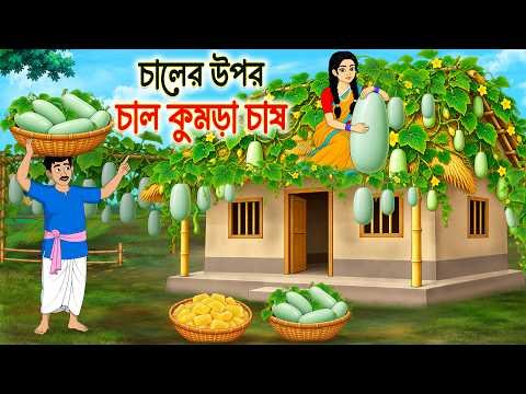 ⁣চালের উপর চালকুমড়া চাষ | Bangla Cartoon Story | Bangla Notun Golpo | Cartoon Golpo