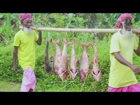 ⁣4 Grandpas Cook Giant Bighead Carp Fish Curry | বিশাল কড়াইয়ে মাছের ঝোল রান্না করলেন দাদারা