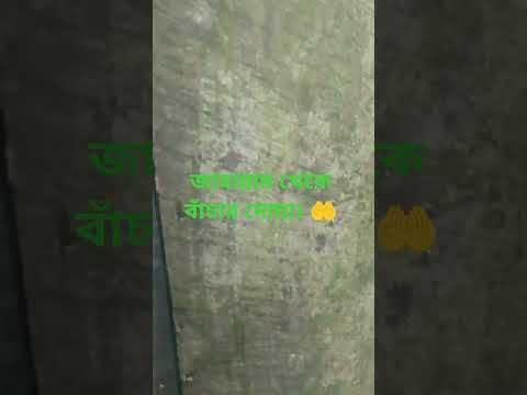 ⁣জাহান্নাম থেকে বাঁচার দোয়া। 🤲 #islamictatus #islamicvideo #shorts #mizanur_rahman_azhari#vairal