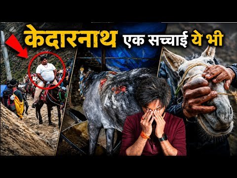 ⁣Dark Side of Kedarnath | Cruelty on Animals 🫏🙏 | Technical Dost