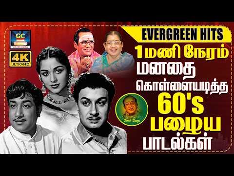 ⁣1மணி நேரம் மனதை கொள்ளையடித்த பழைய பாடல்கள்✨ | Evergreen Classic Hit Songs | TMS | P.Susheela
