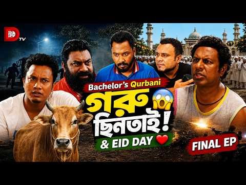 ⁣Bachelor’s Qurbani | গরু ছিনতাই! 😱 & Eid Day ❤️ | Final Episode