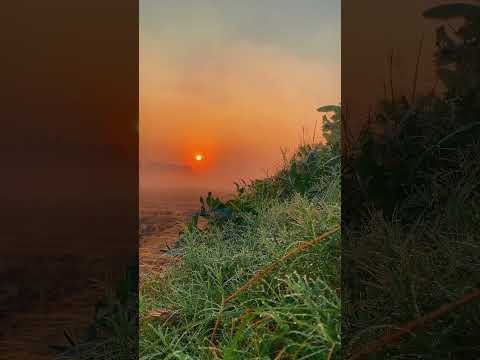 ⁣Tamil movie bangla dubbing,  Tamil Bangla Dubbing Full Movie(2025)- তামিল বাংলা ডাবিং মুভি -