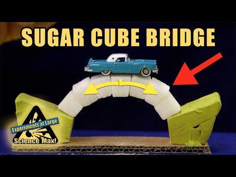⁣How to Make a Sugar Cube Bridge | Home Science Experiments | Science Max
