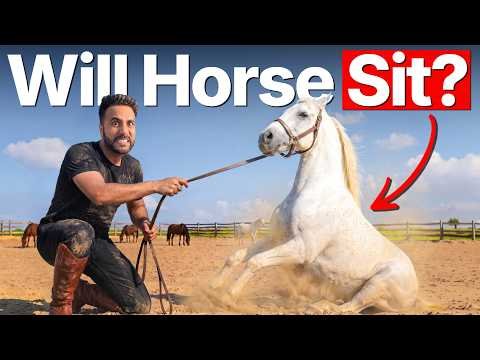 ⁣Is It Actually Possible To Make A Horse Sit? (Science Experiment)