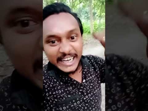 ⁣চিৎ সাঁতার কাটার সময় যা ঘটলো😂