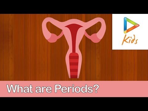 ⁣What Is Periods? Simple Understanding Of Menstrual Cycle | Stages Of Periods