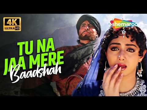 ⁣Amitabh Bachchan Special | Tu Na Jaa Mere Badshah (4K) | Khuda Gawah (1992) | Sridevi | Mohd Aziz