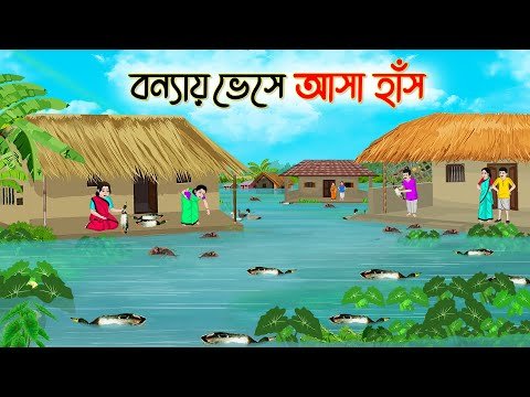 ⁣বন্যায় ভেসে আসা হাঁস