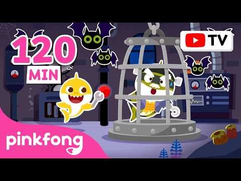 ⁣[Best of the Best] Play Hide & Seek with Baby Shark | Brain Teasers for Kids | Pinkfong Official