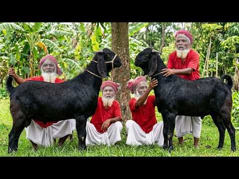 ⁣Goat Qurbani 2026 | Mutton Tehari Cooking by Grandpa | জোড়া খাসি কুরবানি করে তেহারি বিতরণ