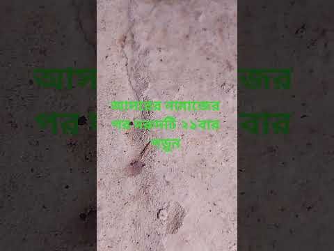 ⁣আসরের নামাজের পর দরুদটি ২১বার পড়ুন #আমল #dua #islamerbarta #ইসলামি ক_ভি ডি ও #waz#youtubeshorts