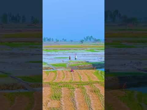 ⁣Tamil movie bangla dubbing,  Tamil Bangla Dubbing Full Movie(2025)- তামিল বাংলা ডাবিং মুভি -#seher