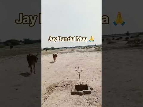⁣|Jay Maa Randal 🙏| #kuldevimaa #mataji #randalmaa #daya #kuldevi #jaymataji #gujarati