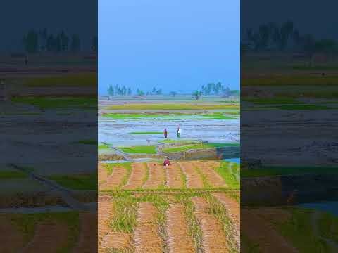 ⁣Tamil movie bangla dubbing,  Tamil Bangla Dubbing Full Movie(2025)- তামিল বাংলা ডাবিং মুভি -