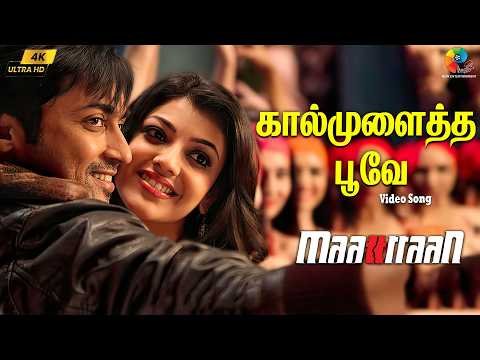 ⁣Kaal Mulaitha Poove 4K Video | Maattrraan Movie | Karky | Suriya | Kajal Agarwal | Harris Jayaraj