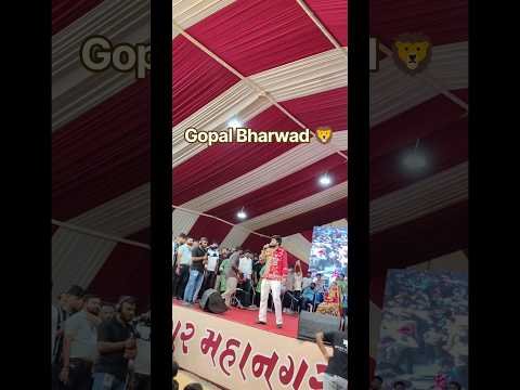 ⁣|Gopal Bharwad 🦁|#gujaratisong #lovesong #gopalbharwad  #gujarati #shorts #shortsfeed #latest