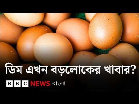 ⁣বাংলাদেশে ডিমের দাম ভারত, পাকিস্তান, শ্রীলঙ্কার চেয়ে বেশি; এর কারণ কী? BBC Bangla